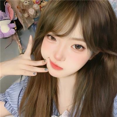 藤本树